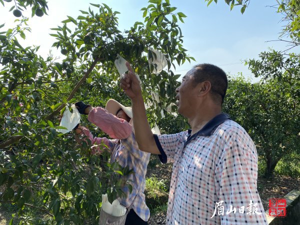 李培明认为，诚实守信是做人的基本准则。