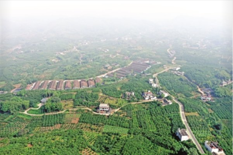 QQ截图20211020125702.png