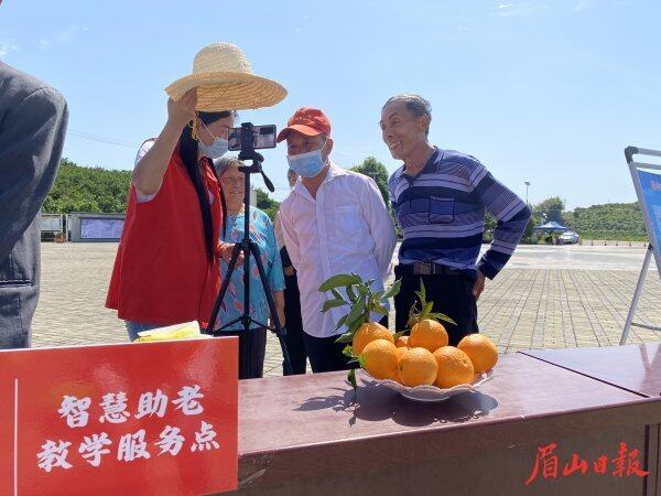 老年人学习直播。