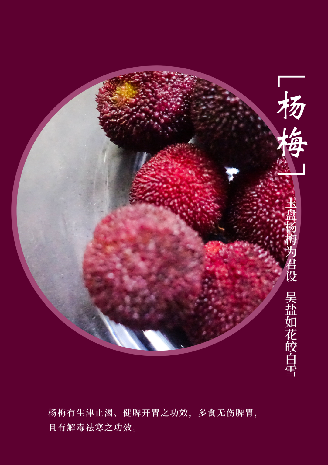 紫色杨梅立夏节气照片中文海报 (1).png