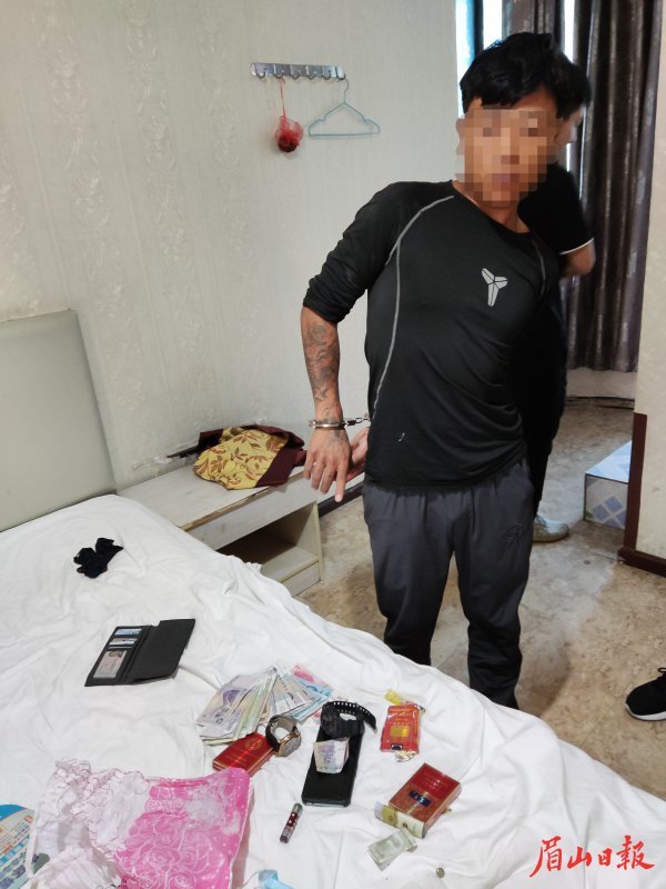抓获犯罪嫌疑人，缴获失窃财物。