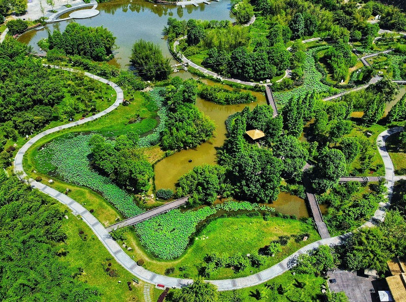  《竹林湿地好风光》。2022年5月4日，鸟瞰眉山青神竹林湿地公园，一派葱郁的绿意。