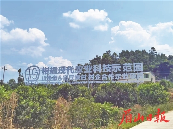 村企合作示范项目。（川金象提供）
