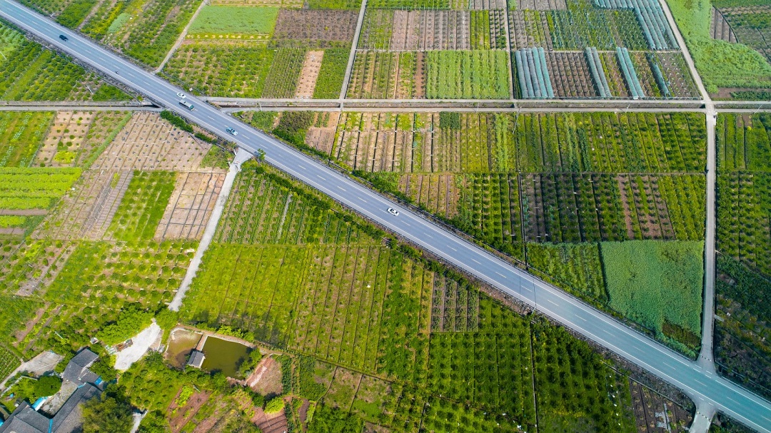 丹棱老峨山旅游快速通道.jpg