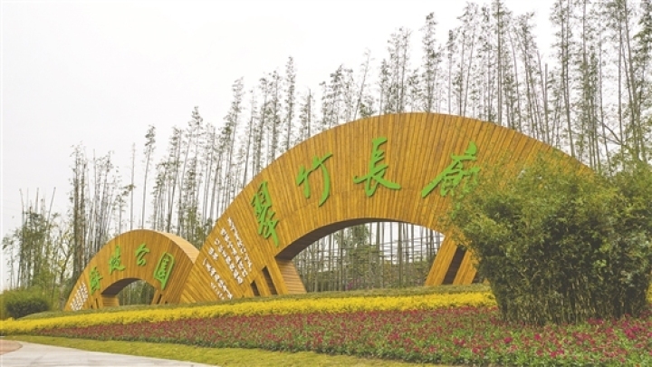 美丽竹林风景线。（资料图片）