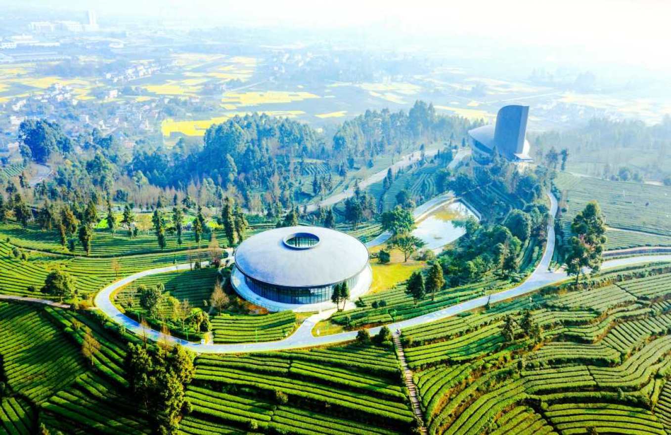 “洪柳新区”茶旅融合发展项目—茶客空间 尹霜林 摄
