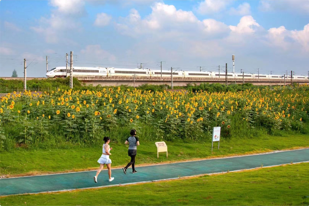 市民在公园里跑步锻炼身体。