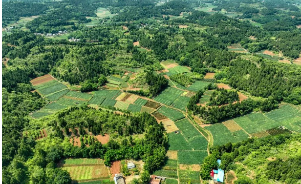航拍甘泉村。