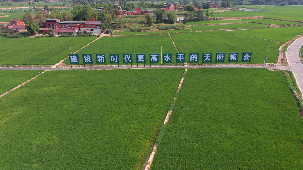 仁寿县现代农业产业园区方家水池村.bmp