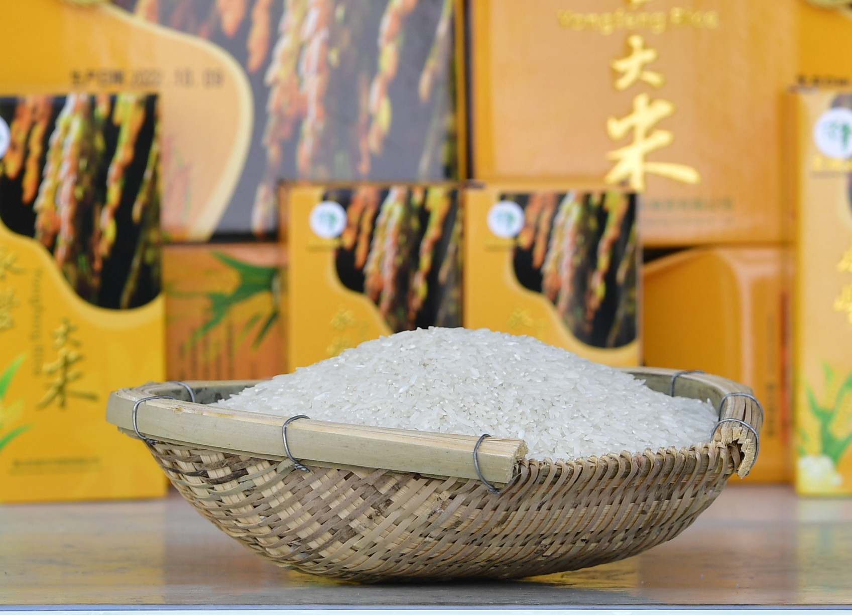 大米质粒饱满。眉山日报全媒体记者 廖波 摄