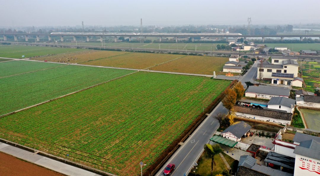 12月26日，动车行驶在永丰村高标准农田上的高铁上。.jpg