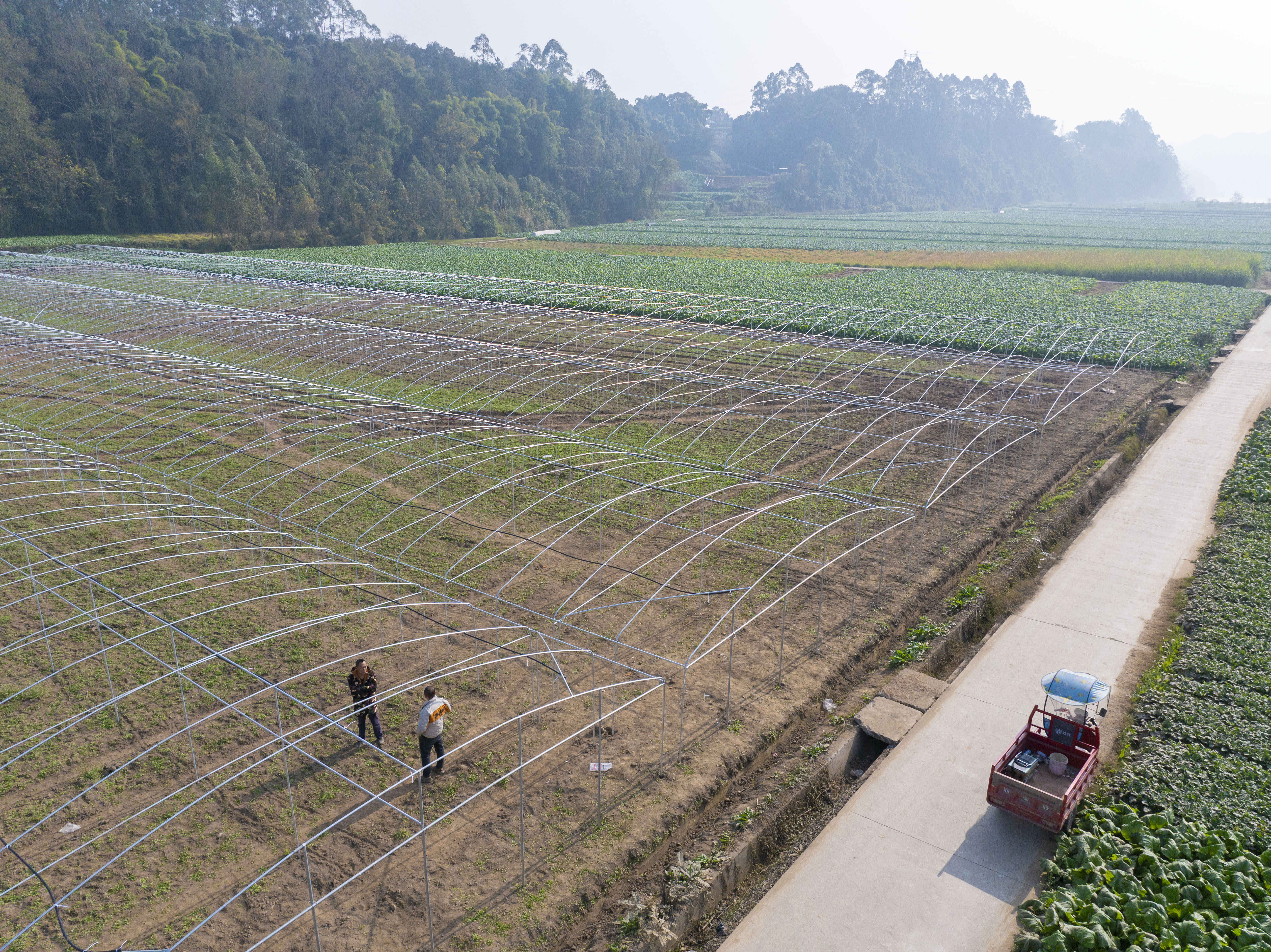 村集体经济扎实推动产业发展，图为小三峡村在建蔬菜大棚。
