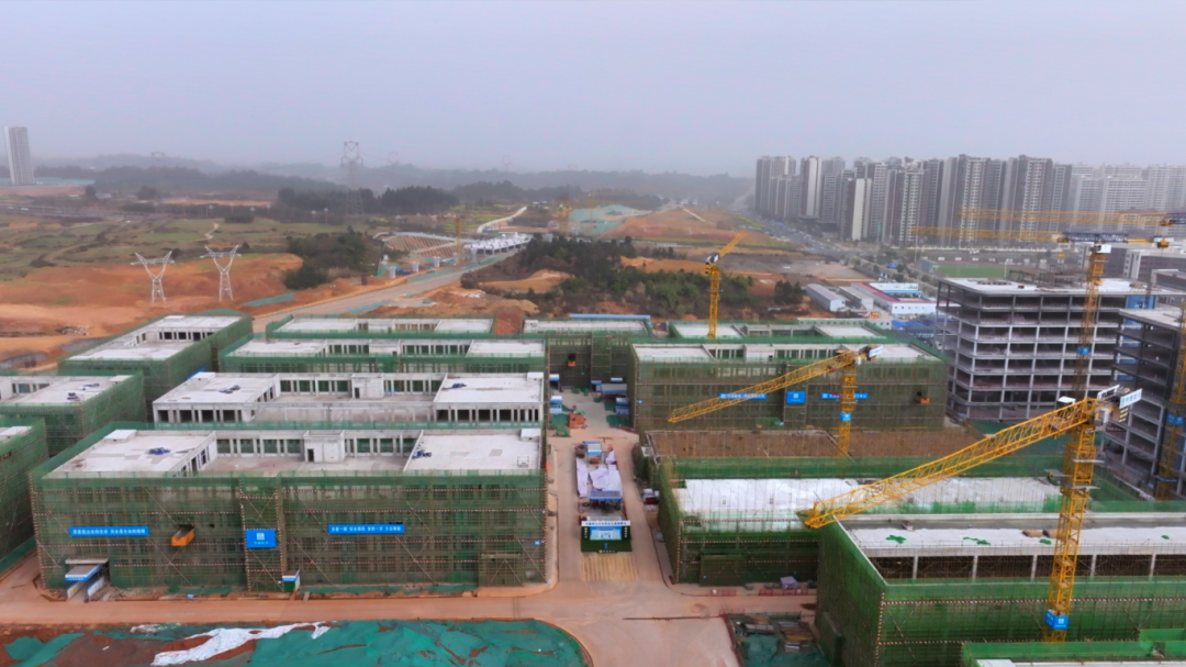 项目建设现场。 (2).png