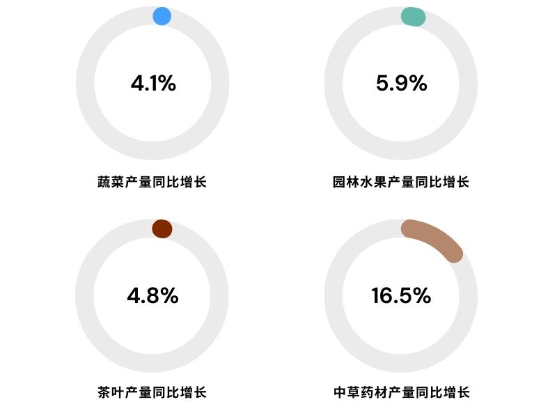 粮食.jpg