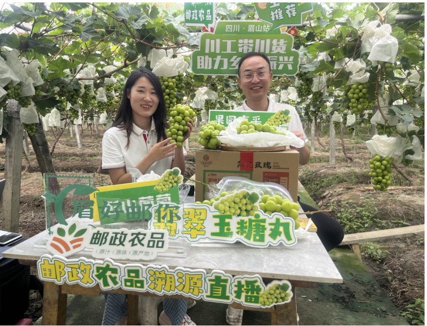 “眉好邮你”直播团队在果园直播，帮助种植户销售葡萄。