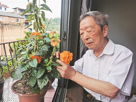 退休后的张荫泽仍然喜欢绿植花卉。