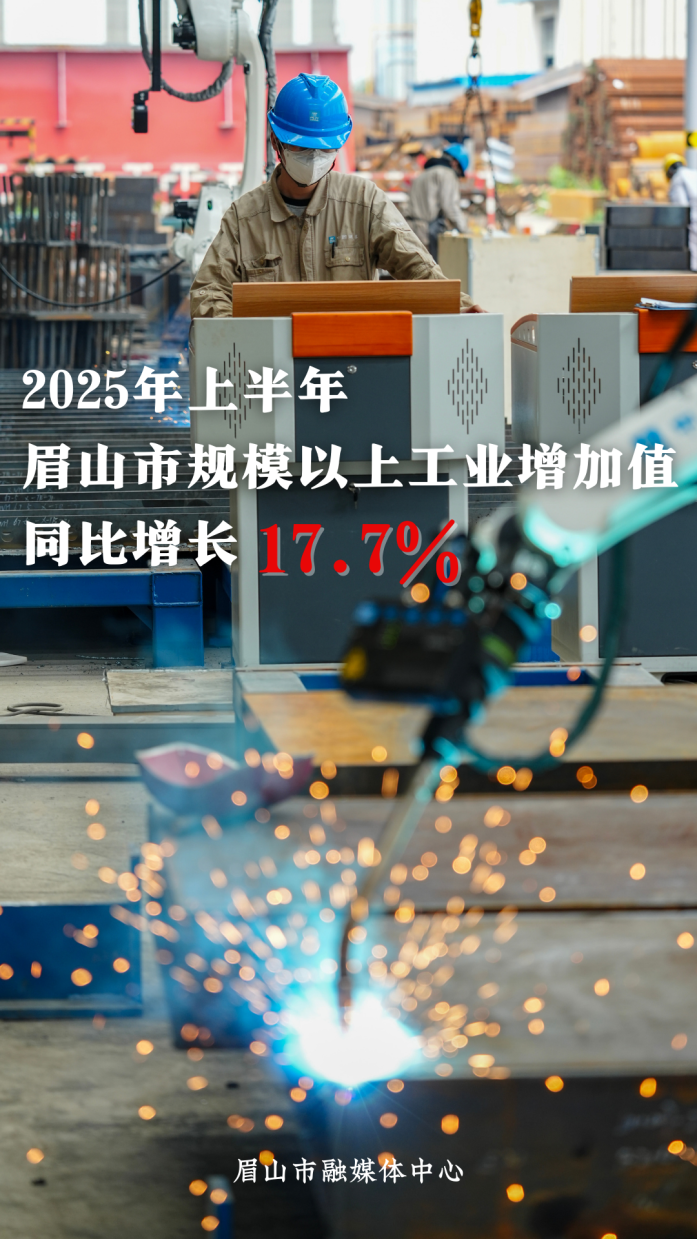 2025上半年GDP 副本 (3).png