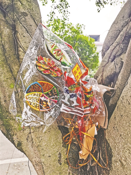4月5日13点12分：文安路东段，有人将垃圾放在树上。