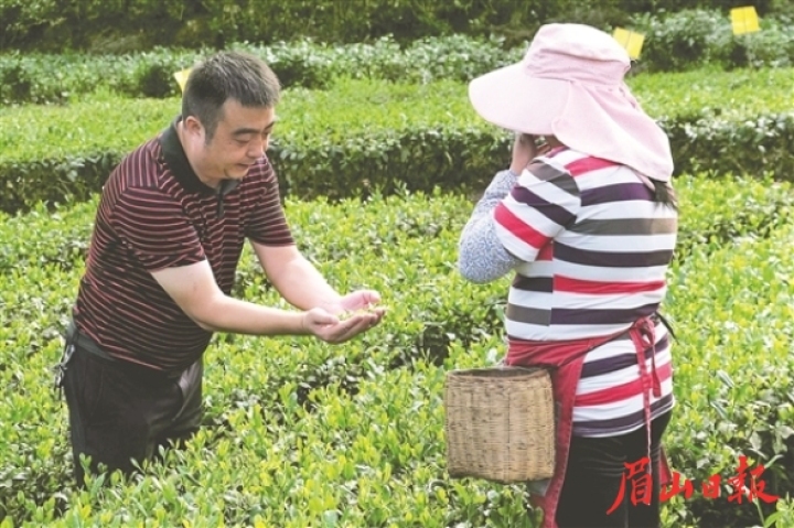 微信图片_20221020092309.jpg