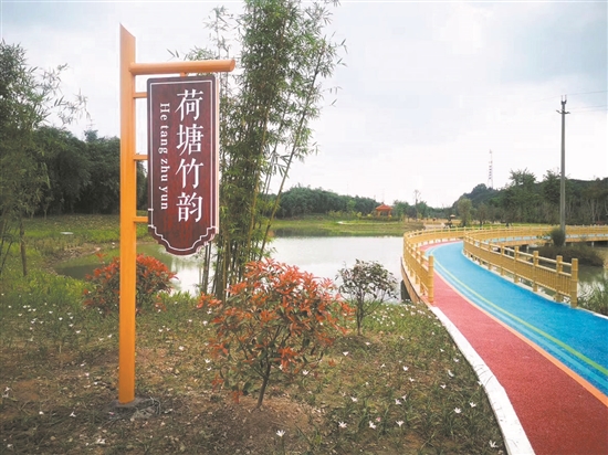 “爱卫”运动，改善人居环境。.jpg