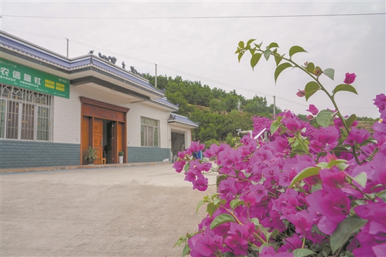 美丽庭院。.jpg
