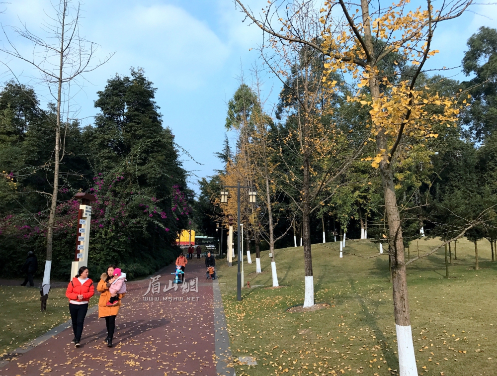 苏辙公园里，市民文明游园。.jpg