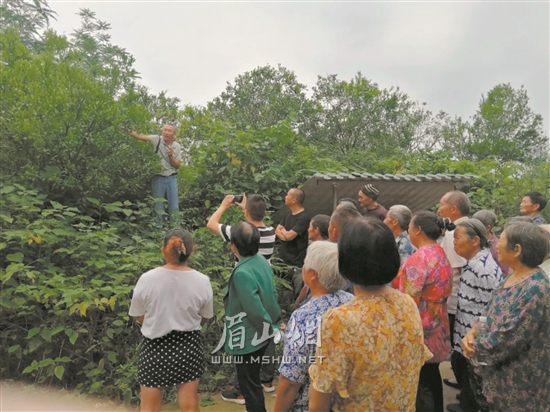 农技专家现场指导果树栽培技术。.jpg