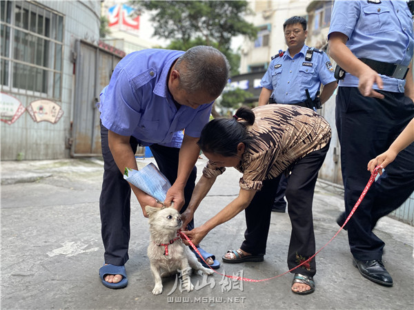 市民在苏祠派出所民警的劝导下，迅速为自家敞放犬拴上牵引绳。