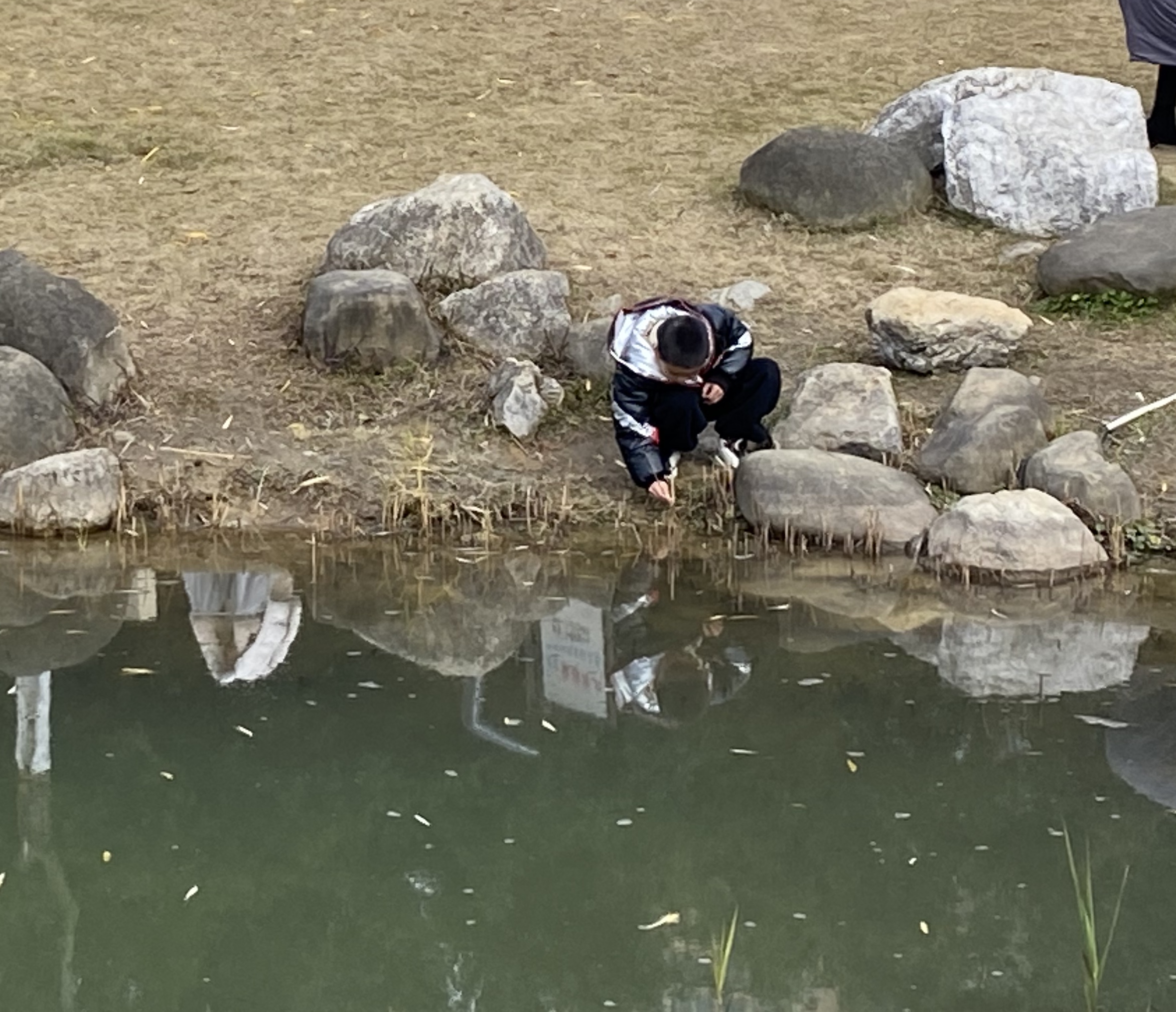 小朋友在人工河河岸戏水