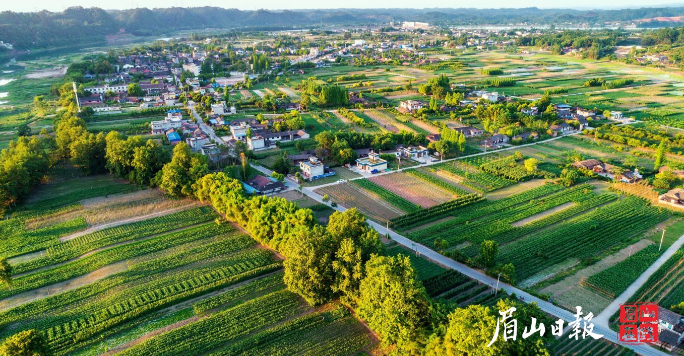 鸟瞰青神乡村美景