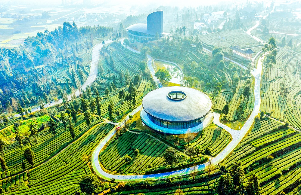 茶客空间（图片由洪雅县委宣传部提供）.jpg