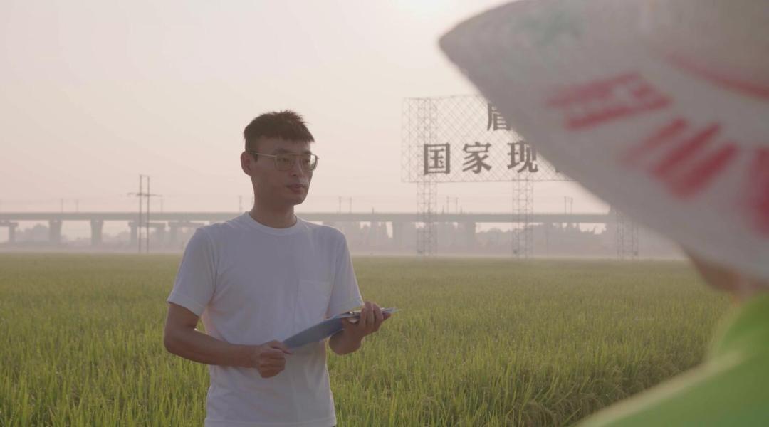 陈航.jpg