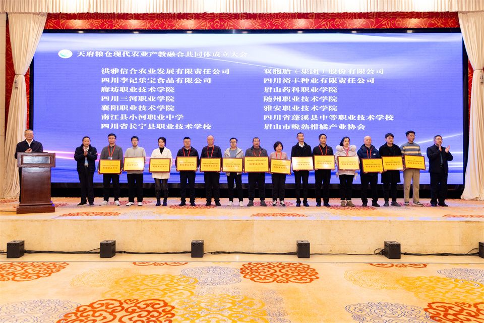 884233A8EC5755041DCC345DCC7_28E88181_237DC.jpg