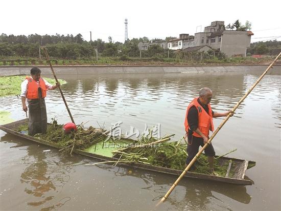 河道保洁员打捞转运垃圾。.jpg
