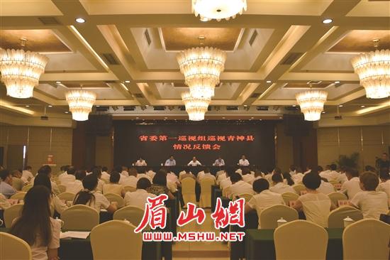 7月29日，省委第一巡视组巡视青神县情况反馈会召开。.jpg