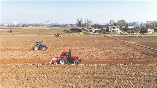 洪雅县止戈镇，种植大户机械化整理土地。眉山日报全媒体记者 廖波 摄.jpg