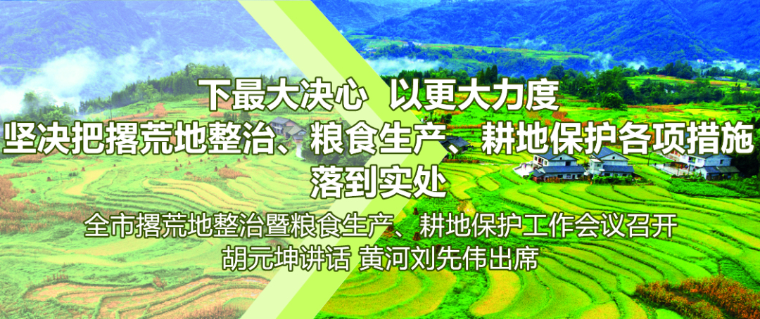 0523书记.jpg
