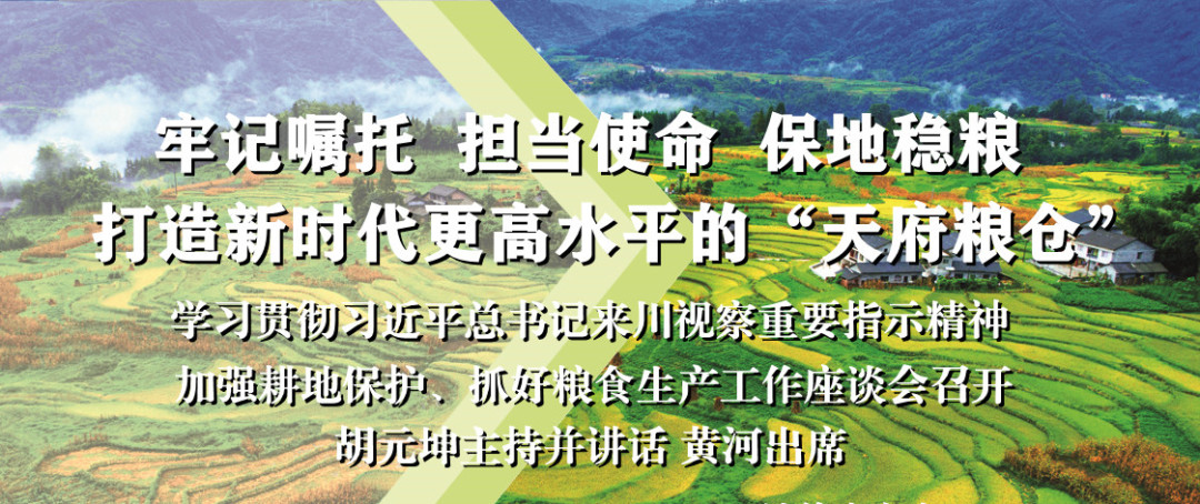 标题图_副本11.jpg