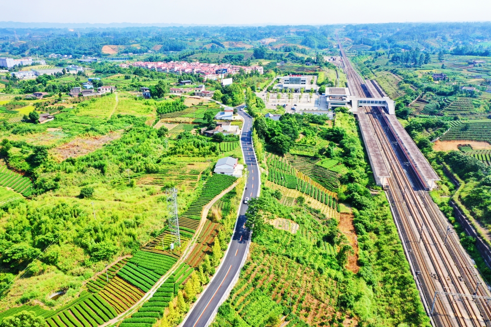龙白旅游环线串起乡村振兴路.jpg
