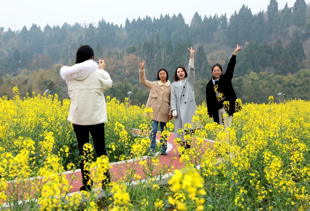 青岗乡盘龙村油菜花开，游客来。.jpg