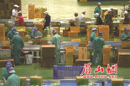 吉香居生产车间，工人们正在抓紧生产。.jpg