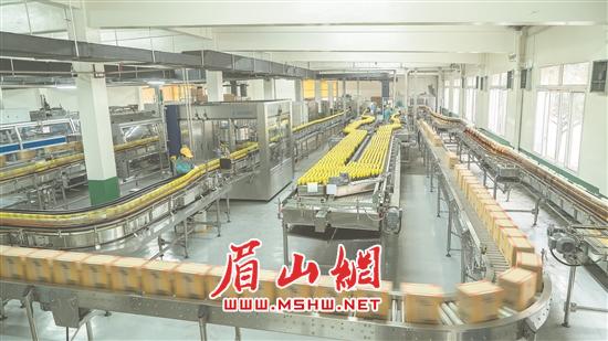 千禾味业包装生产车间。.jpg