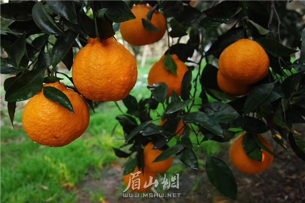 QQ图片20190310125232.jpg