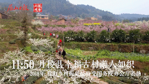 幸福古村.gif