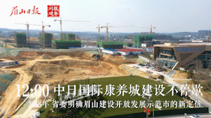 中日国际康养城.gif