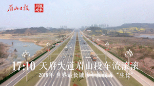 天府大道.gif