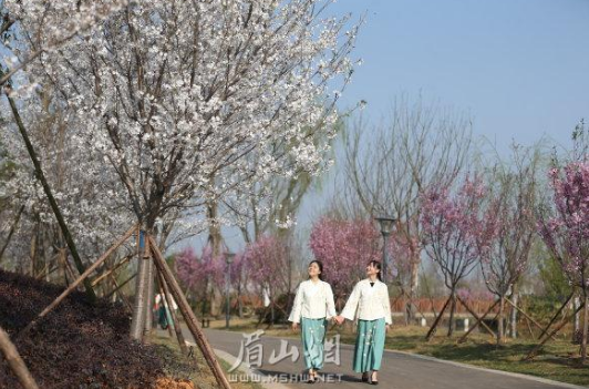 QQ截图20190318113456.png