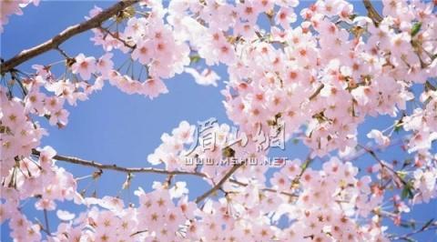 b209c83e-debd-49f7-82d5-e01e104db1dd_997.jpg