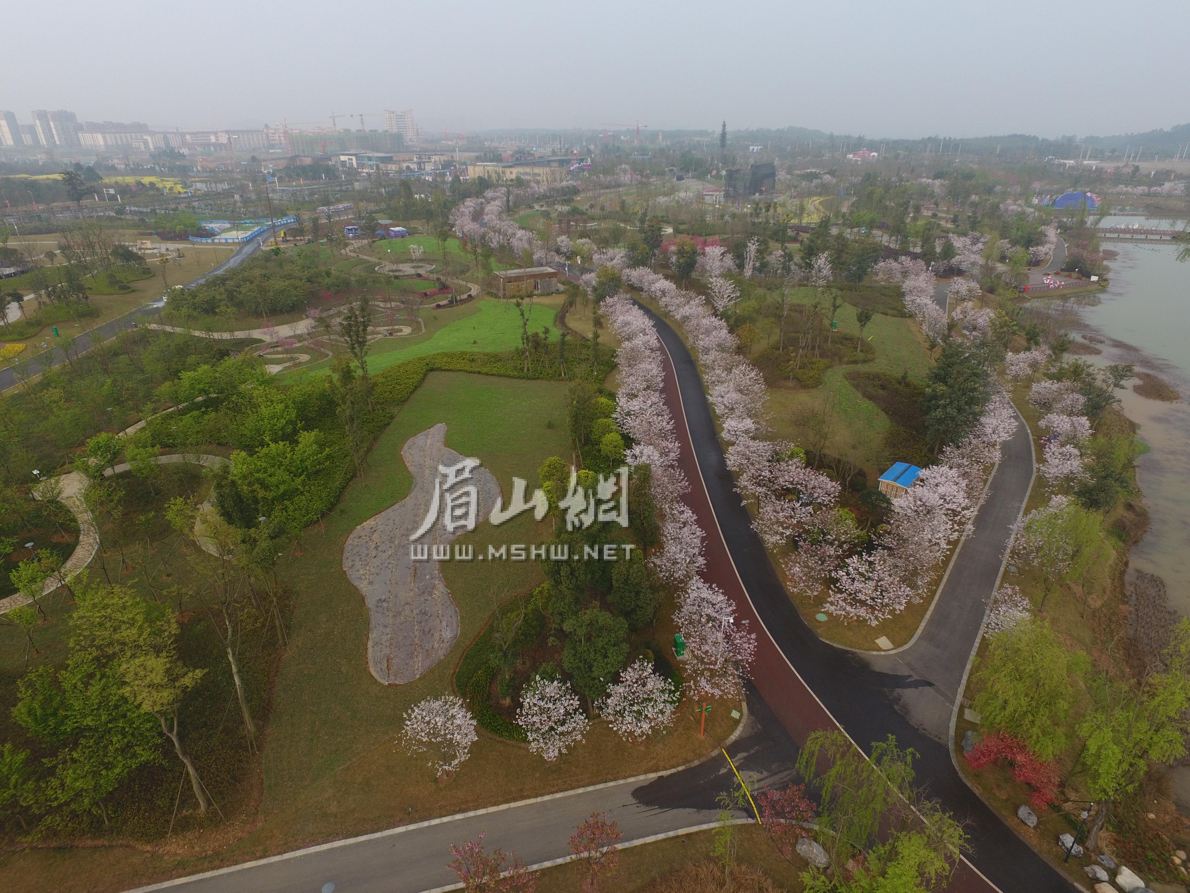 DJI_0002.JPG