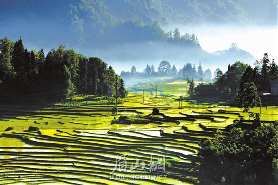 《丛林梯田》朱浩 摄于高庙镇丛林村.jpg